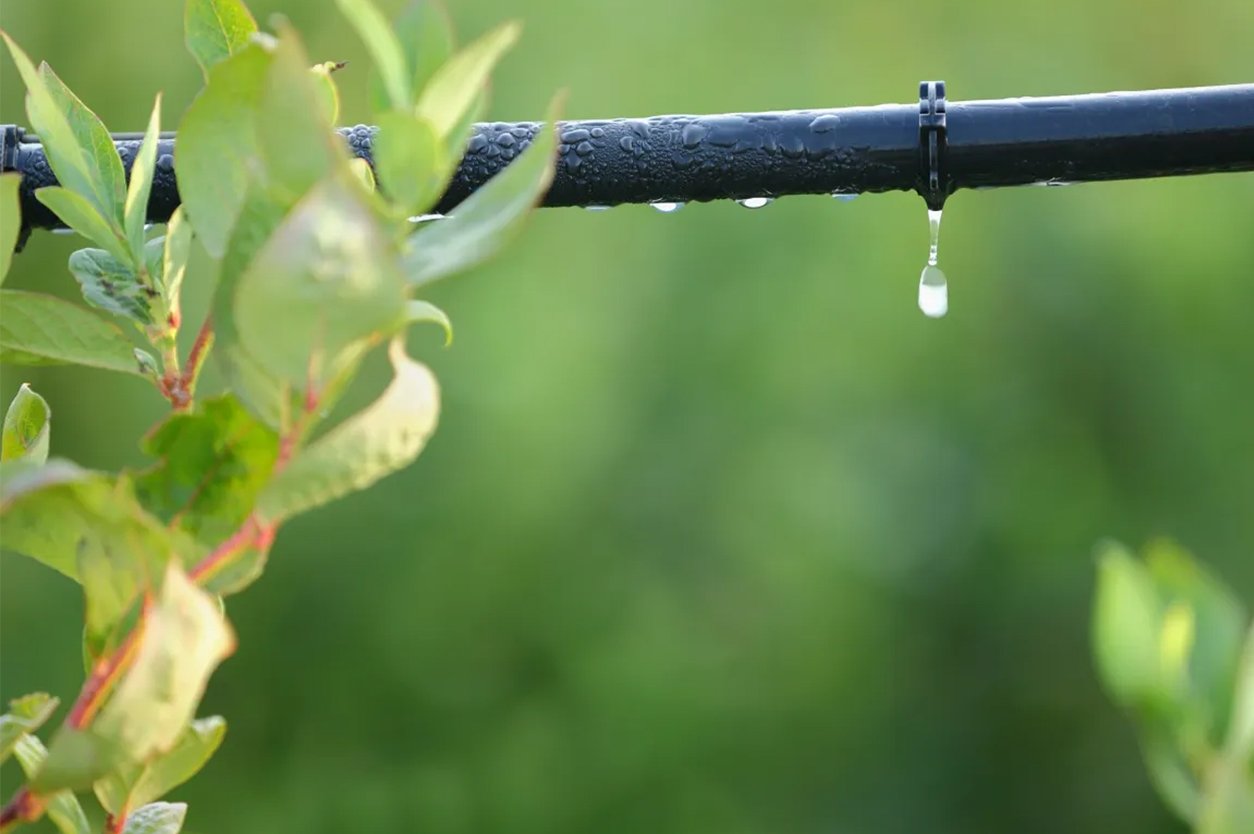 دليل اليمن  يلو بيج