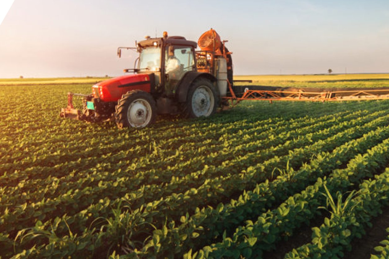 دليل اليمن التجاري يلو بيج